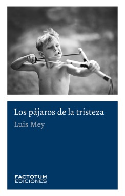 Los pájaros de la tristeza